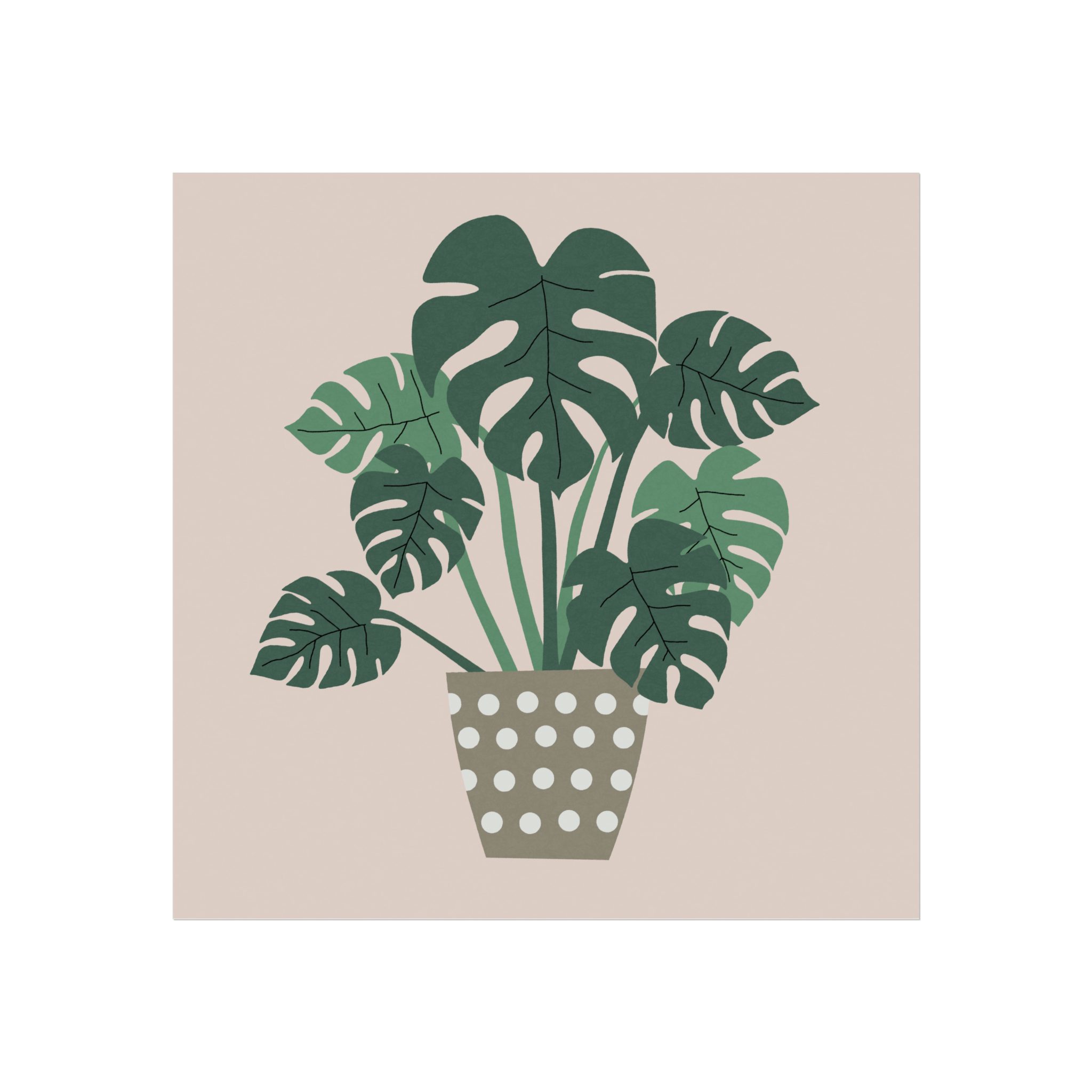 Cheese Plant Art Print