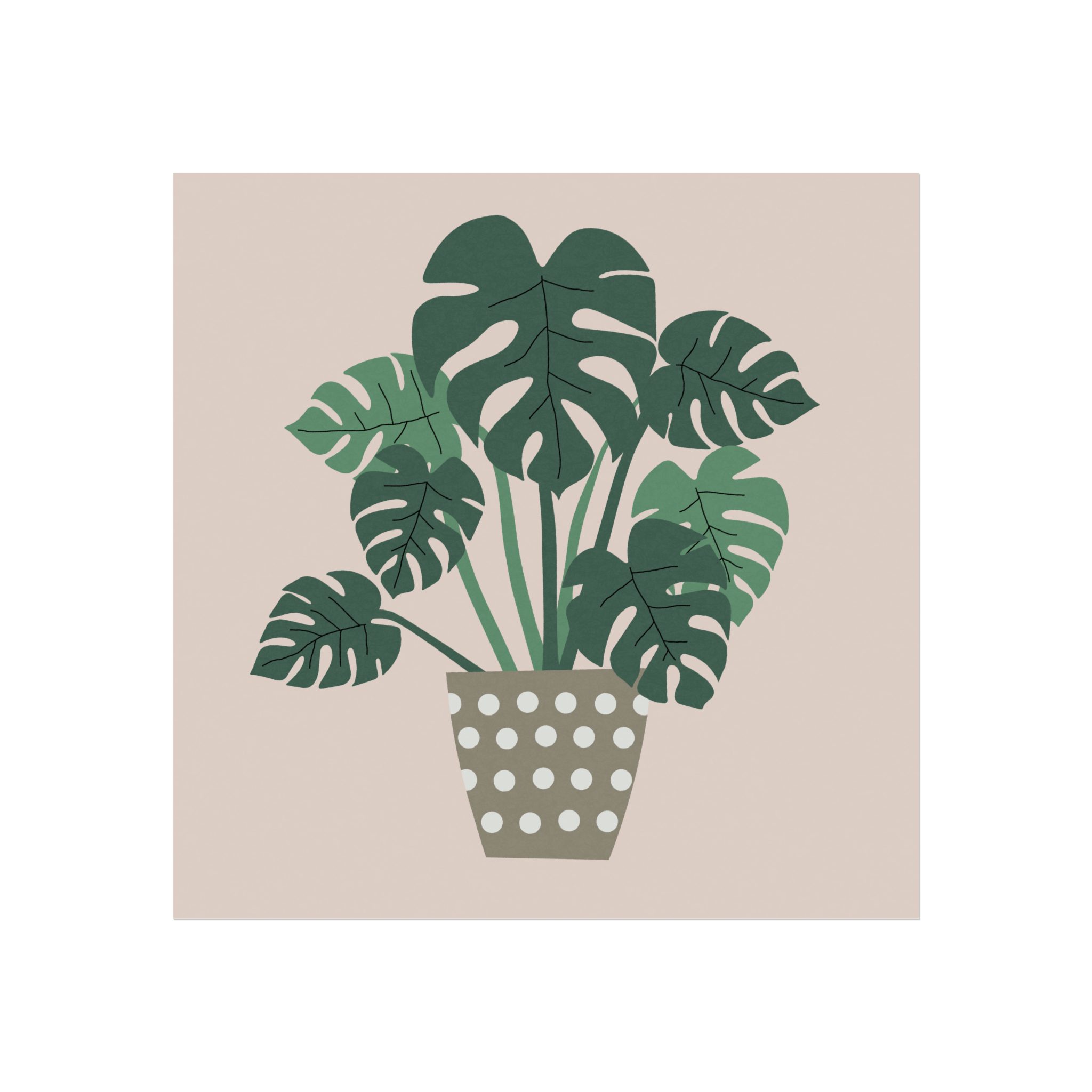 Cheese Plant Art Print - Image 4