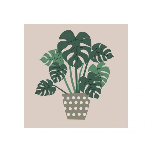 Cheese Plant Art Print