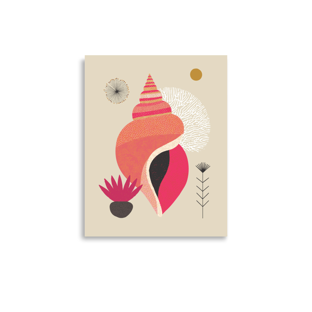 Whelk Illustration Art Print