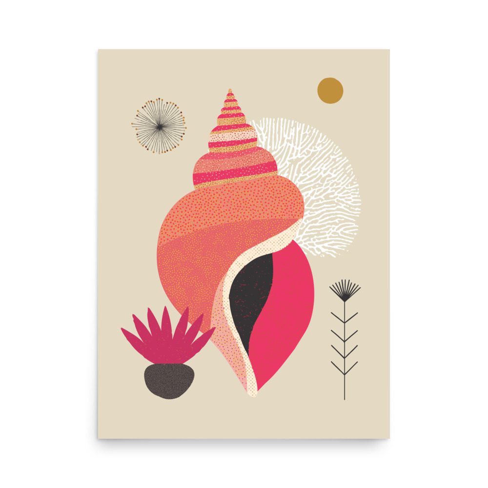 Whelk Illustration Art Print - Image 7