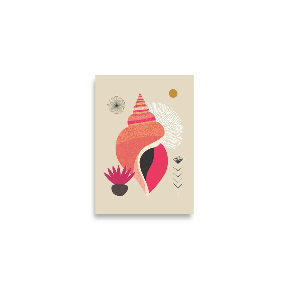 Whelk Illustration Art Print - Image 3