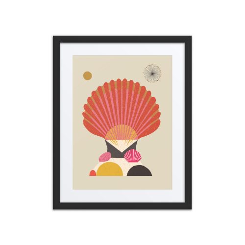 Sea Scallop Illustration Framed Art Print