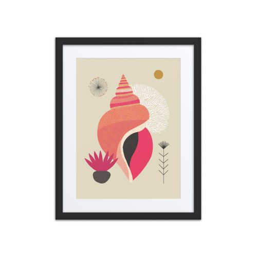 Whelk Illustration Framed Art Print