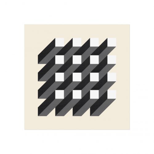 Mono Isometric Squares Art Print